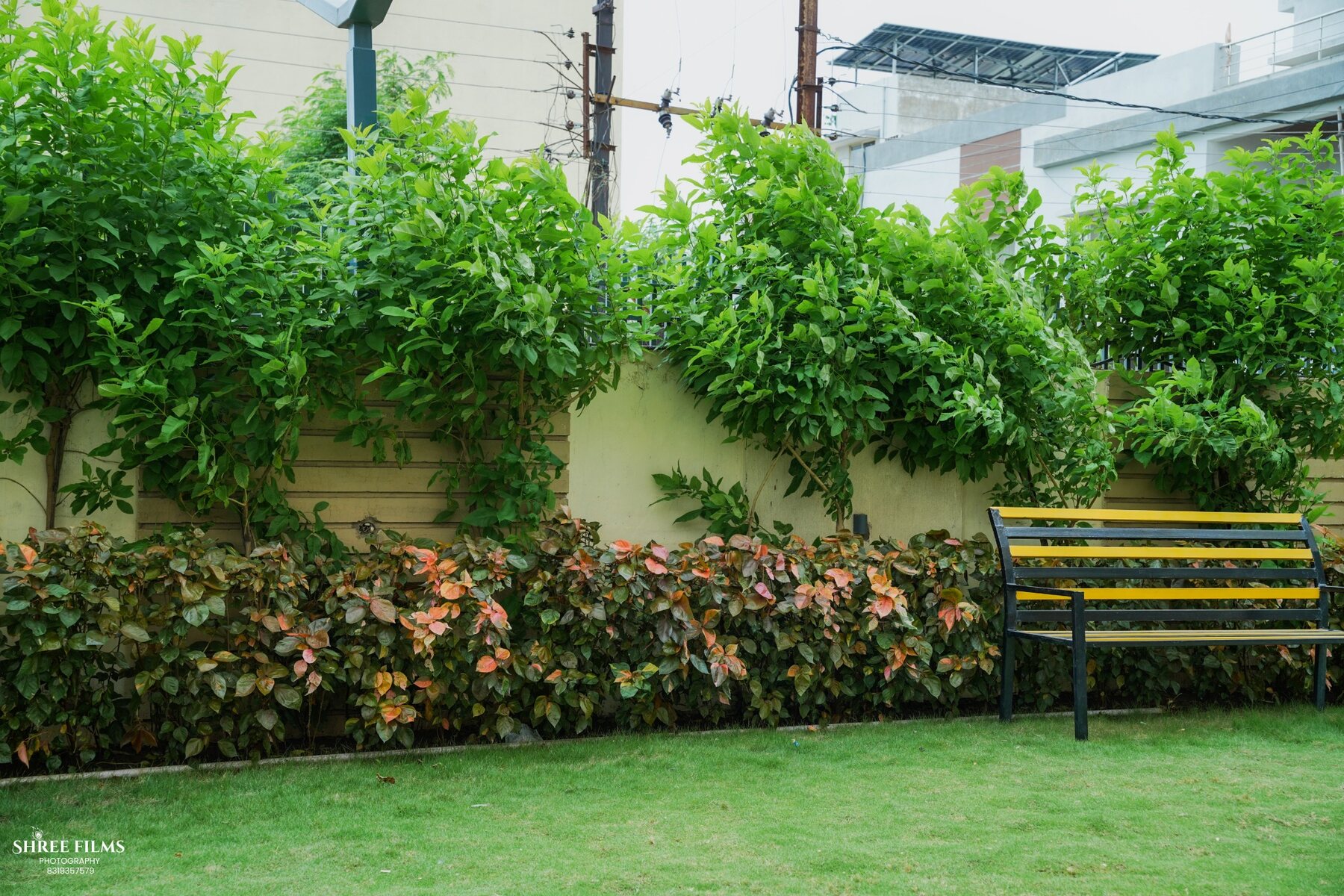 Shiva Enclave — Phase I — Landscaped garden